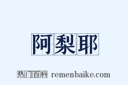 阿梨耶是什么意思的图片